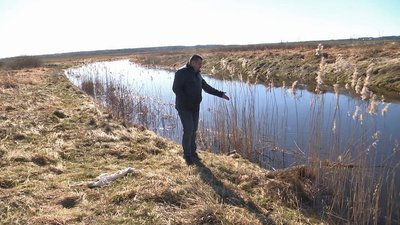 У волинську річку потрапили трансформаторні мастила. Чи критичне забруднення У волинську річку потрапили трансформаторні мастила. Чи критичне забруднення