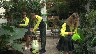 Екзотика поруч: школярі на Волині облаштували зимовий сад