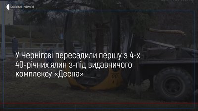 У Чернігові пересадили першу з чотирьох 40-річних ялин, що росли біля видавничого комплексу «Десна»
