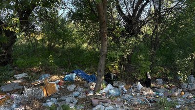 житомир, сміттєзвалища, екологія, 3 вересня 2025 року