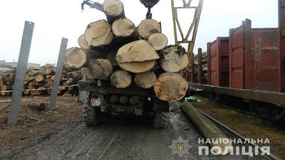 Інспектори Держпраці Тернопільщини розслідують загибель чоловіка, на якого впала колода