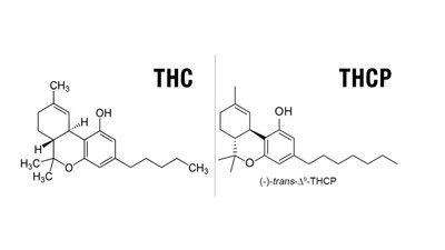 Будова молекули THC та нещодавно відкритої THCP Будова молекули THC та нещодавно відкритої THCP