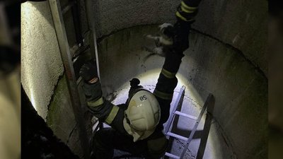 На Дніпропетровщині з шестиметрового колодязя дістали кошеня