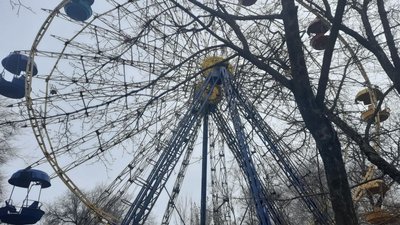 Херсонці протестували проти знесення оглядового колеса у міському парку
