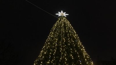 Нова традиція. У Києві засвітили 14-метрову парламентську ялинку Нова традиція. У Києві засвітили 14-метрову парламентську ялинку