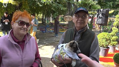В Одесі вшосте проходить фестиваль для тварин з притулків Home Me Fest В Одесі вшосте проходить фестиваль для тварин з притулків Home Me Fest