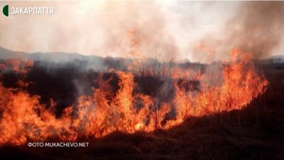Через спалення сухої трави на Закарпатті стаються пожежі