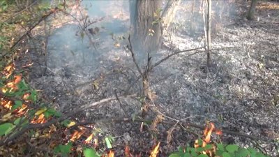 На Франківщині під час високої пожежної небезпеки в’їзди в ліси перекриватимуть шлагбаумами На Франківщині під час високої пожежної небезпеки в’їзди в ліси перекриватимуть шлагбаумами