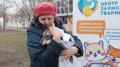 "Взяла на руки, і все — моє". У Миколаєві організували виставку-прилаштування тварин "Взяла на руки, і все — моє". У Миколаєві організували виставку-прилаштування тварин