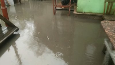 В Житомирі вода з каналізаційного люка підтоплює двір — комунальники пояснили причину В Житомирі вода з каналізаційного люка підтоплює двір — комунальники пояснили причину