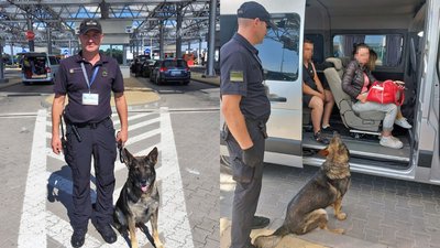 Волинський прикордонник та його службовий пес Гуді отримали нагороду за службу Волинський прикордонник та його службовий пес Гуді отримали нагороду за службу