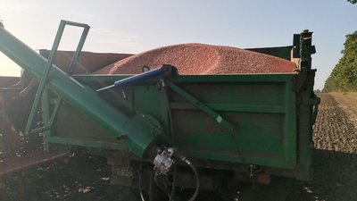 "Дану культуру сіємо, бо це наш хліб": на Полтавщині аграрії посіяли 80% озимих культур "Дану культуру сіємо, бо це наш хліб": на Полтавщині аграрії посіяли 80% озимих культур