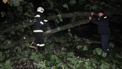 Повалені дерева та будинки без світла. Наслідки вітру 21 травня на Кіровоградщині Повалені дерева та будинки без світла. Наслідки вітру 21 травня на Кіровоградщині