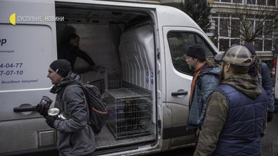 Як волонтери рятують тварин на звільненій Київщині