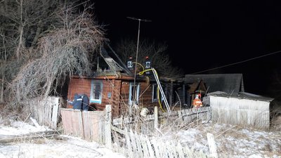 На Житомирщині на пожежі загинула мама з семирічною донькою