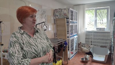 Власниця ветклініки Олена Дейнека Власниця ветклініки Олена Дейнека
