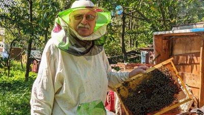 Гроші на бджіл. Пасічники Буковини можуть отримати державну допомогу
