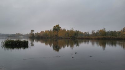 Річка восени