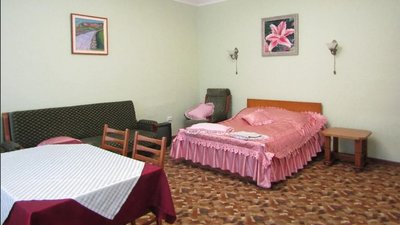 Хмельницька міська лікарня планує придбати колишній табір в Головчинцях. За скільки і навіщо Хмельницька міська лікарня планує придбати колишній табір в Головчинцях. За скільки і навіщо