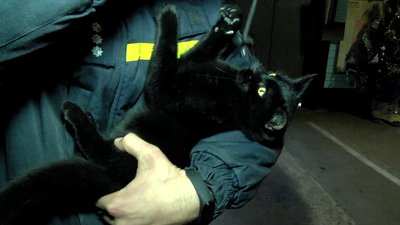 Бодя і Володя - антистрес для рятувальників Херсона