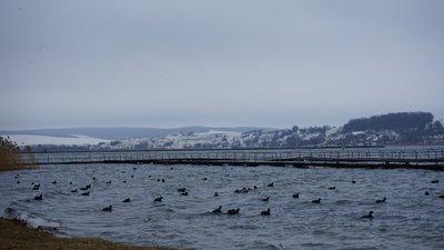 Бурштинське водосховище, Івано-Франківщина