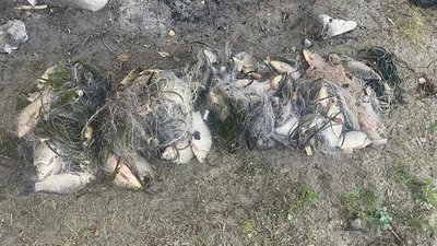Риба, підозра, Дніпропетровщина