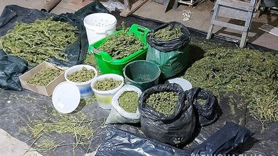 Вилучили наркотиків на 8 мільйонів: на Дніпропетровщині затримали підозрюваного у збуті канабіса