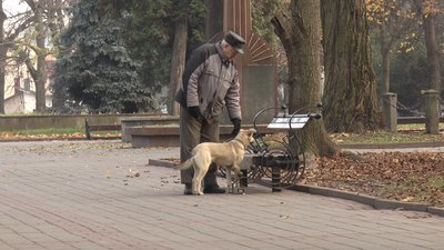Друг чи вбивця. У Франківську собака ледь не загриз жінку Друг чи вбивця. У Франківську собака ледь не загриз жінку