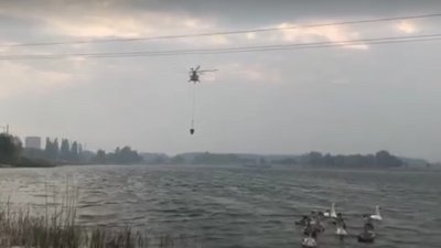 Пожежу на Луганщині гасять два літаки та гелікоптер