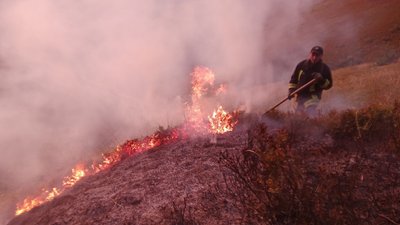 На Закарпатті горіла суха трава – вогнем знищено 4 гектари сухостою На Закарпатті горіла суха трава – вогнем знищено 4 гектари сухостою