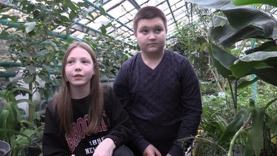 Оранжерея у Черкасах Оранжерея у Черкасах