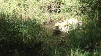 "Запоріжці відчують на собі погіршення якості повітря і води", - експертка про стан Сухої Московки "Запоріжці відчують на собі погіршення якості повітря і води", - експертка про стан Сухої Московки