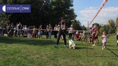 У Сумах під час фестивалю "Друг з притулку" знайшли господарів для 19 тварин У Сумах під час фестивалю "Друг з притулку" знайшли господарів для 19 тварин
