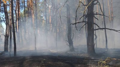 На Полтавщині згоріло близько одного гектара лісу На Полтавщині згоріло близько одного гектара лісу