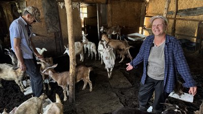 Альна та Аріс тримають понад ста кіз в прифронтовому Біленькому