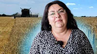 Аграрії Миколаївщини завершили збирання ранніх зернових і ріпаку