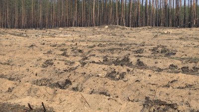 Фото: Суспільне Донбас Фото: Суспільне Донбас