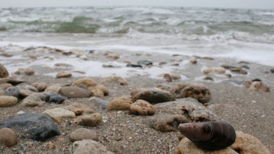 Біля Одеси 600 російських морських піхотинців влаштували бунт – полонений сапер