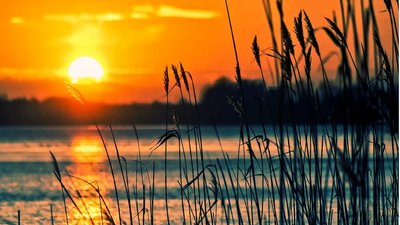 У водоймах на Сумщині за добу 19 червня потонули 5 людей