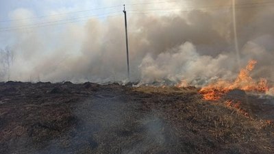 На Франківщині за одну добу зафіксували 84 пожежі сухої трави