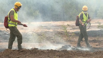 На Чернігівщині військові та лісничі вчаться разом боротися з лісовими пожежами