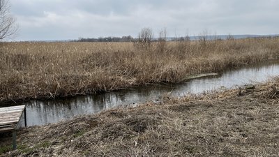 Жителі села Лушники ініціювали розчищення річки Удай Жителі села Лушники ініціювали розчищення річки Удай