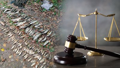 Браконьєрство на Чернігівщині: чоловіки, які ловили рибу, мають відщкодувати 400 тис. грн