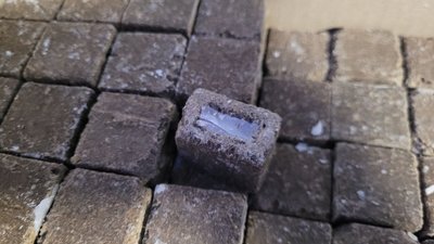 На Волині розпочали розкладати вакцину проти сказу для диких м’ясоїдних тварин На Волині розпочали розкладати вакцину проти сказу для диких м’ясоїдних тварин