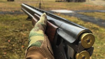 На Львівщині браконьєра, який застрелив лося, оштрафували на понад 18 тисяч гривень