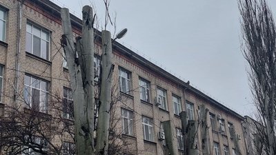 Обрізка дерев у Миколаєві: хто здійснює роботи та наскільки вони законні Обрізка дерев у Миколаєві: хто здійснює роботи та наскільки вони законні