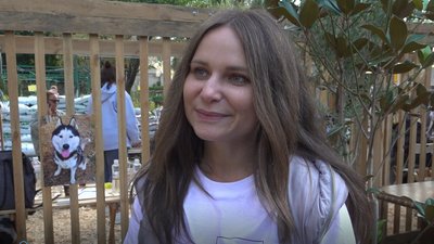 В Одесі вшосте проходить фестиваль для тварин з притулків Home Me Fest В Одесі вшосте проходить фестиваль для тварин з притулків Home Me Fest