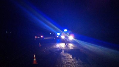 На Житомирщині біля селища Лугини автівка смертельно травмувала 43-річного чоловіка