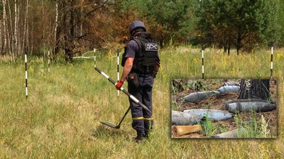 Розміновують околиці села – рятувальники Житомирщини планують обстежити 12 гектарів територій