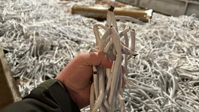 На Закарпатті виявили схему підпільного виробництва і контрабанди тютюнових виробів до ЄС На Закарпатті виявили схему підпільного виробництва і контрабанди тютюнових виробів до ЄС